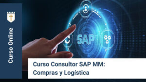 Consultor SAP MM compras y logística